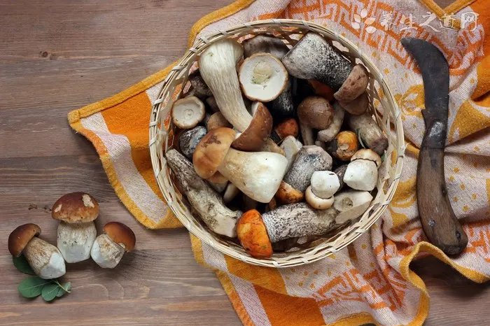 雅顿金胶新版和老版哪个好？雅顿金胶新版和老版区别