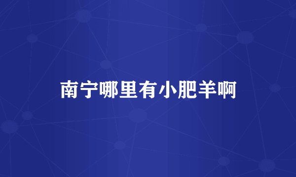 南宁哪里有小肥羊啊