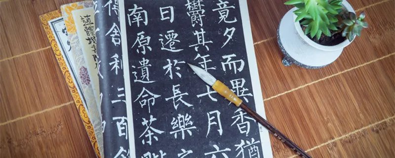 汉字廿表示什么