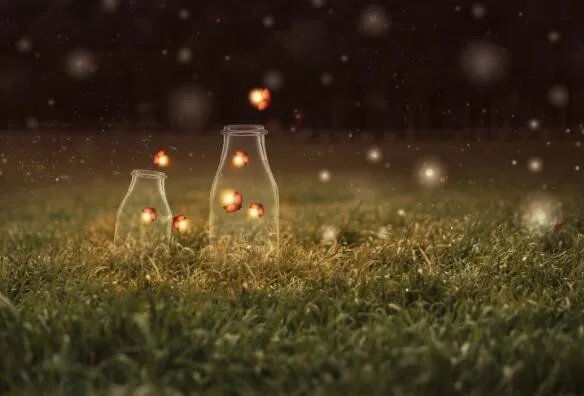 萤火虫在发光的同时也在发热吗 萤火虫发的光属于什么光