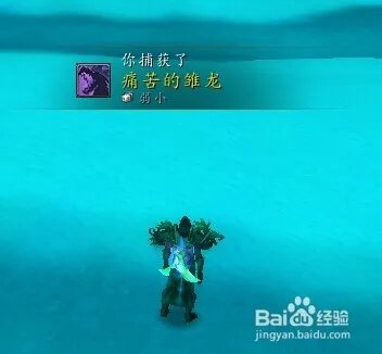 痛苦的雏龙哪里抓