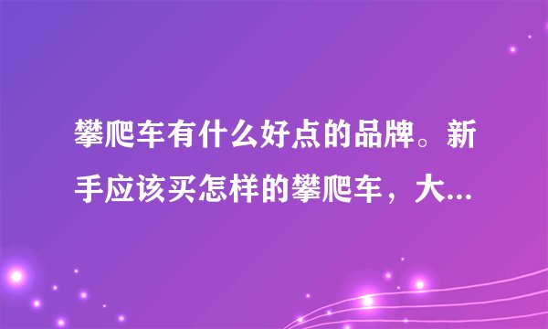 攀爬车有什么好点的品牌。新手应该买怎样的攀爬车,大概多少钱?