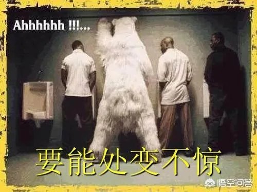 网曝熊猫直播18号关服,PDD直播间改名“全完了”,大批主播失业,如何评价此事?