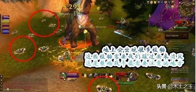 魔兽世界6.0永茂林地雅努怎么打，雅努打法细节攻略？