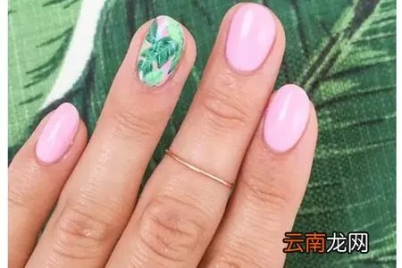 夏季美甲2019新款式图片大全，清爽法式图案大集合