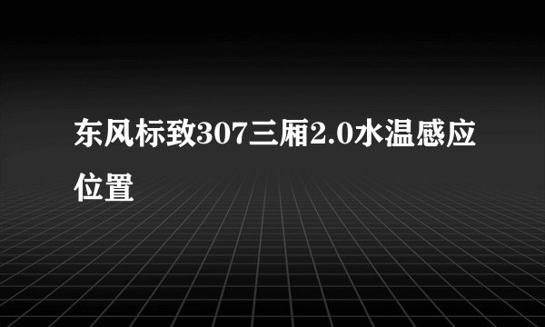东风标致307三厢2.0水温感应位置