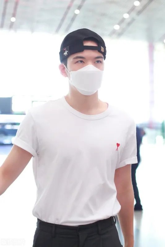 仝卓怼姚晨“恶之花”，“恶之花”到底是什么梗？