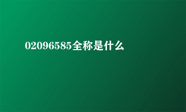 02096585全称是什么