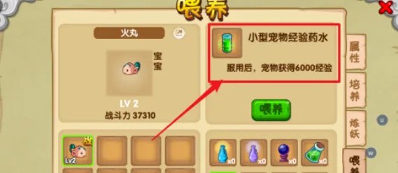 造梦西游ol宠物怎么升级快