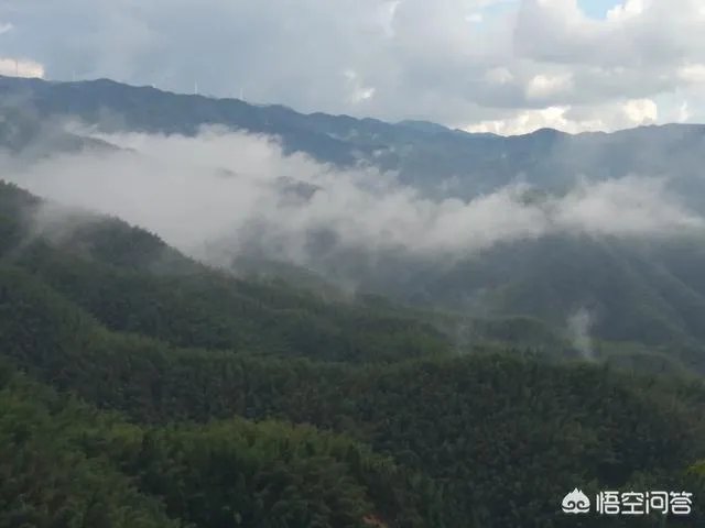 大学生骑车撞上违停法拉利，初步估计要赔20万，对此你怎么看？