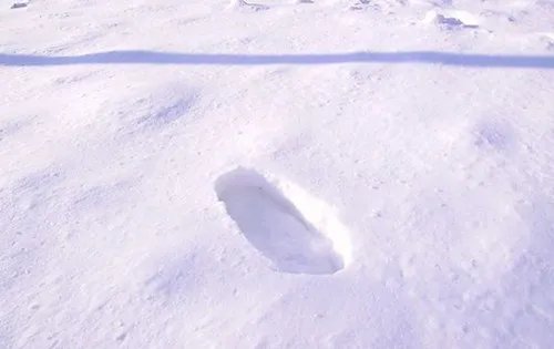 60岁老太醉倒雪地冻僵无人搀扶  民警雪中送炭化险为夷！