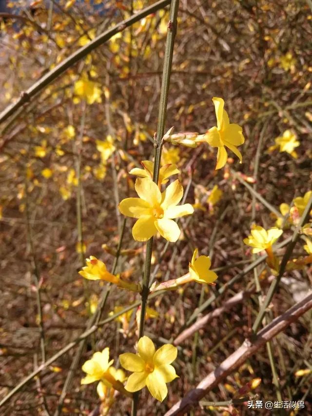 高考仅剩一百天,成绩中等的学生拼一个二本有可能吗?