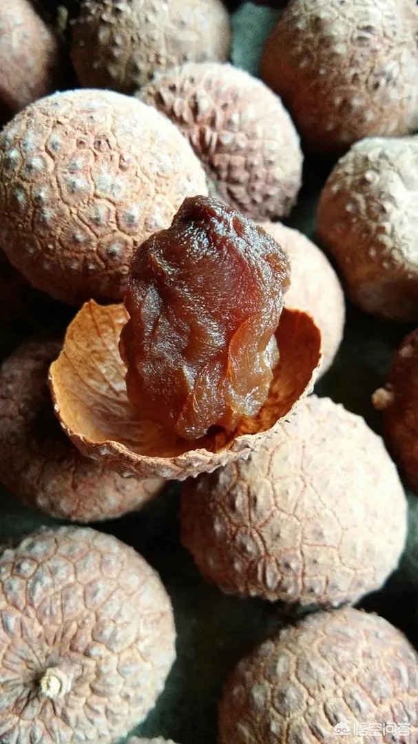 你们农村致富故事有哪些？