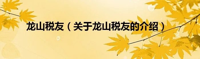 龙山税友（关于龙山税友的介绍）