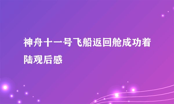 神舟十一号飞船返回舱成功着陆观后感