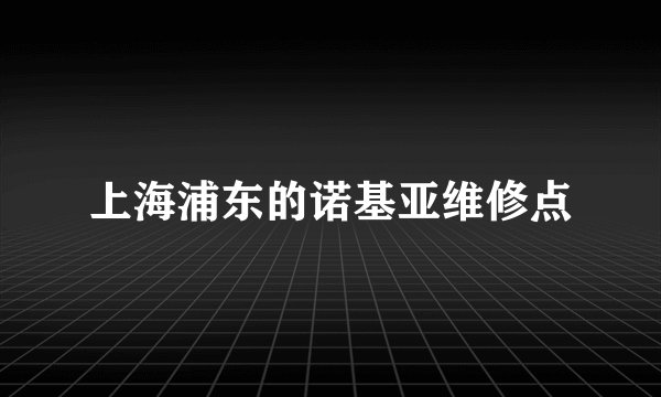 上海浦东的诺基亚维修点