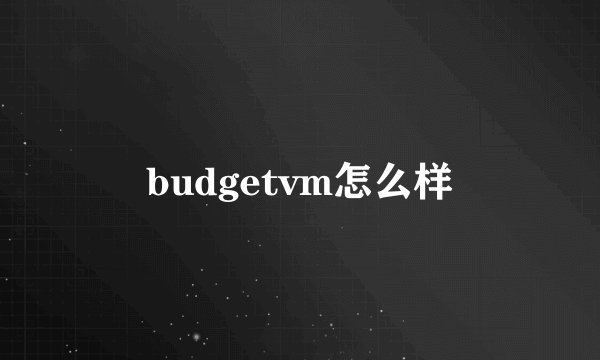 budgetvm怎么样