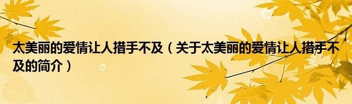 太美丽的爱情让人措手不及（关于太美丽的爱情让人措手不及的简介）