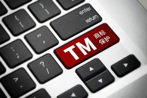 商标侵权起诉状程序