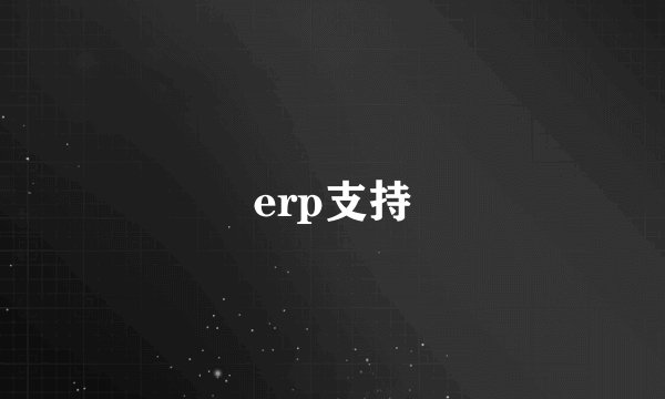 erp支持