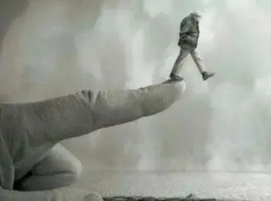 北京海归硕士花31万元拜师养生，为何高学历人士也会被骗？