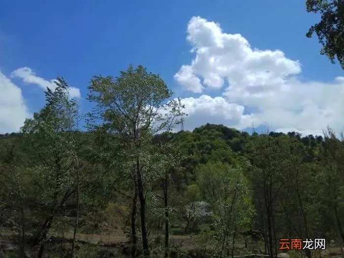 2021年的四季 2021年第一场雪的句子