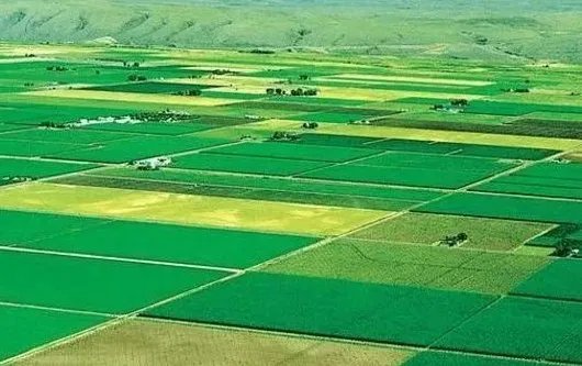 井田制的实质是什么？