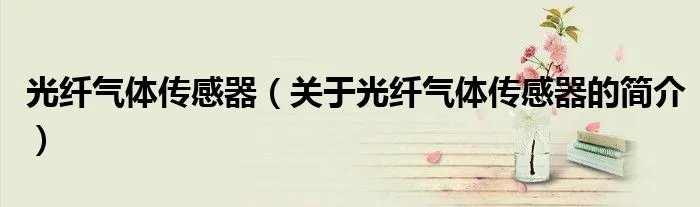 光纤气体传感器（关于光纤气体传感器的简介）