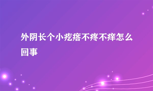外阴长个小疙瘩不疼不痒怎么回事