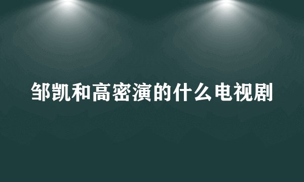 邹凯和高密演的什么电视剧