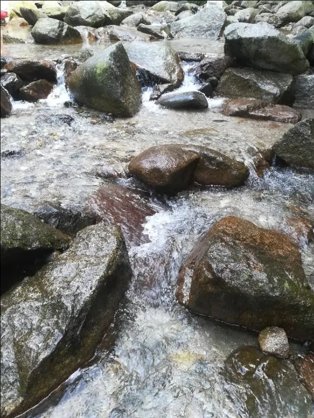 《浪花一朵朵》大结局是什么？