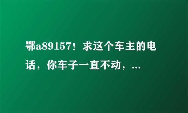 鄂a89157！求这个车主的电话，你车子一直不动，把消防通道堵住了！