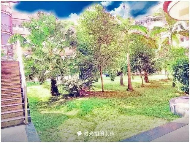 南充高中到底有多好？