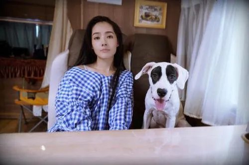 向佐郭碧婷婚礼为什么请不来月老刘德华？