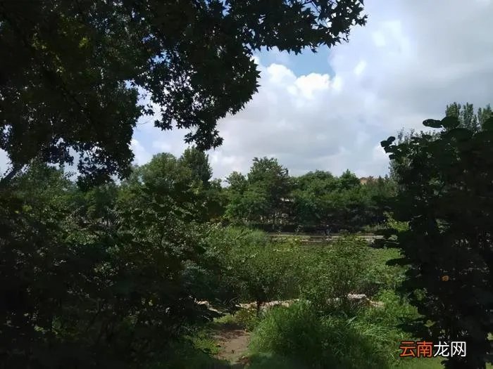 2021年的四季 2021年第一场雪的句子