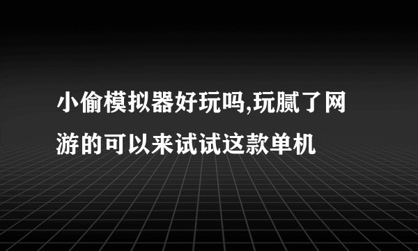 小偷模拟器好玩吗,玩腻了网游的可以来试试这款单机