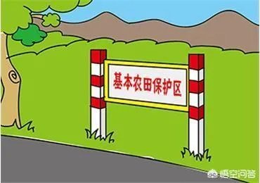 西安村民春节改麦田为停车场,一天收入2000元,你怎么看?