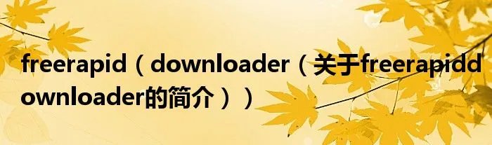 freerapid（downloader（关于freerapiddownloader的简介））