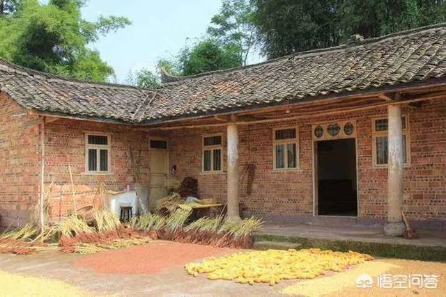 你们农村致富故事有哪些？