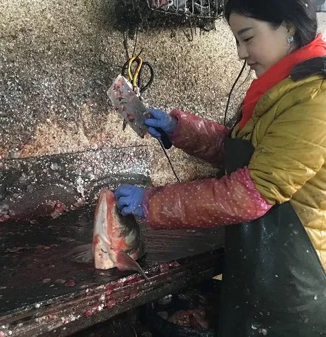 江苏出了个卖鱼西施是什么样子的?