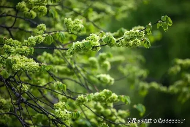 广州或全面取消特长生招生，你怎么看？