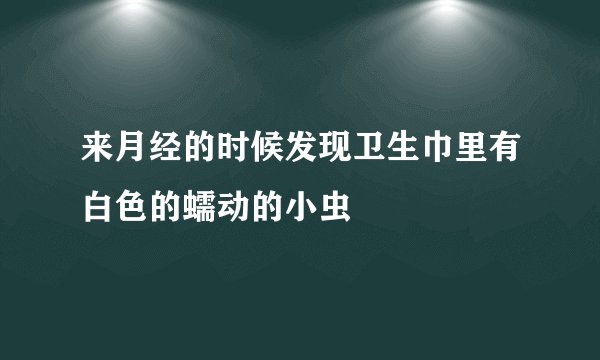 来月经的时候发现卫生巾里有白色的蠕动的小虫
