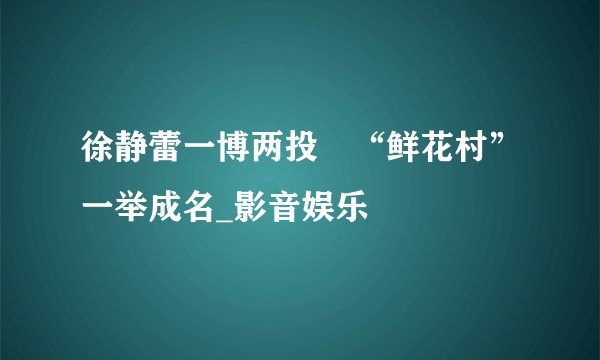 徐静蕾一博两投　“鲜花村”一举成名_影音娱乐