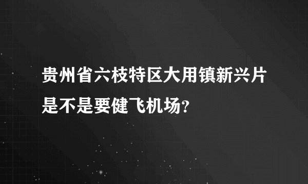 贵州省六枝特区大用镇新兴片是不是要健飞机场？