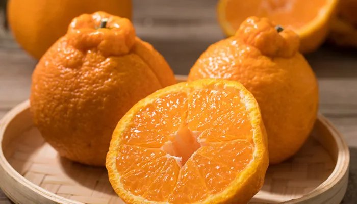 食品的保质期其实指的是什么 食品的保质期是什么