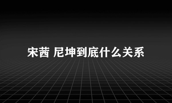 宋茜 尼坤到底什么关系