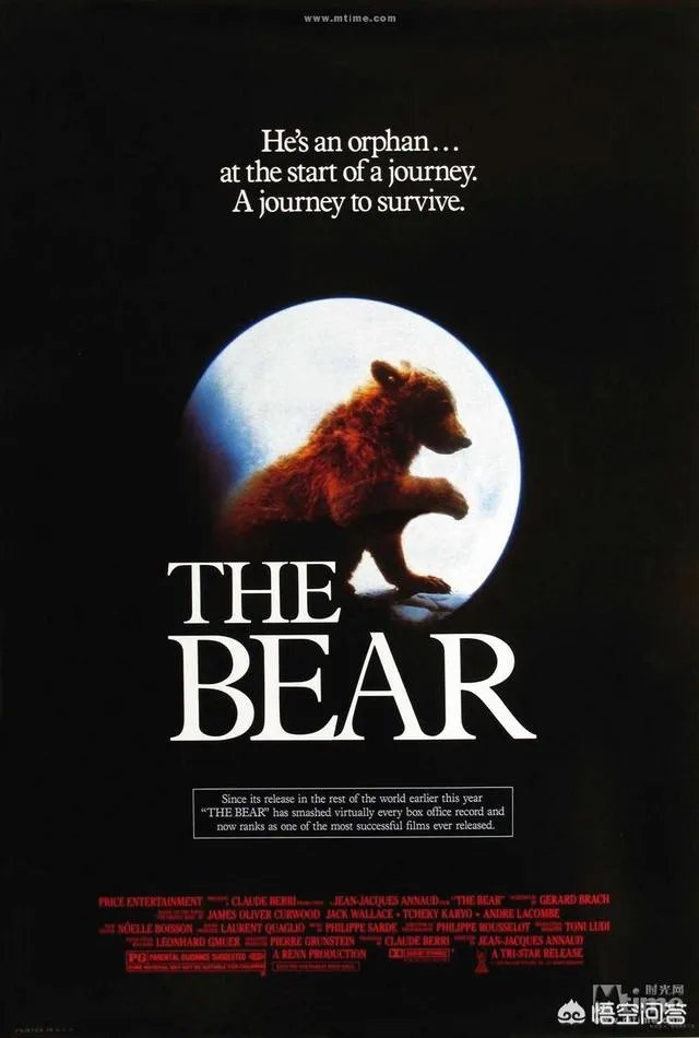 很好奇法国电影《熊》是怎么拍出来的？看过这个片子的有谁能回答？
