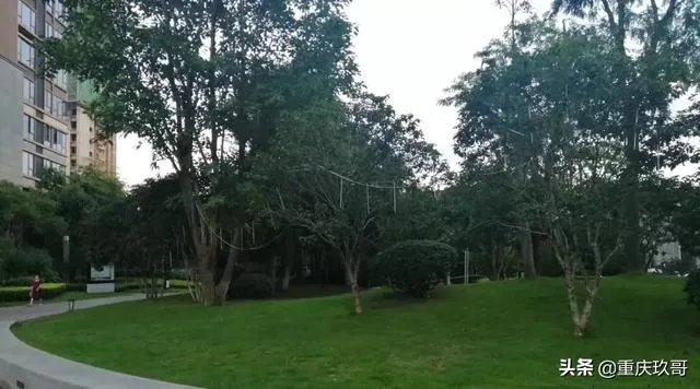 买的二手房户型不好，但是是学区房，卖掉换个好户型合适吗？