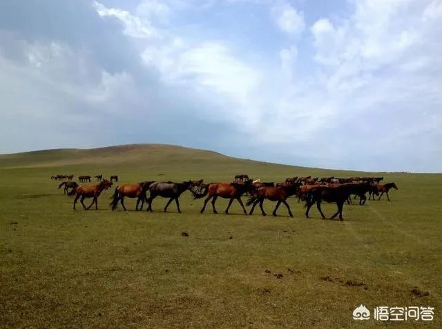 为什么呼伦贝尔只有两个月的旅游旺季,和别的月份有什么区别?