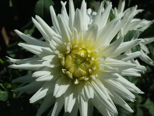 能通话的1200W像素相机 三星W880评测